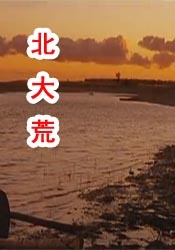 午夜视频在线观看www中文